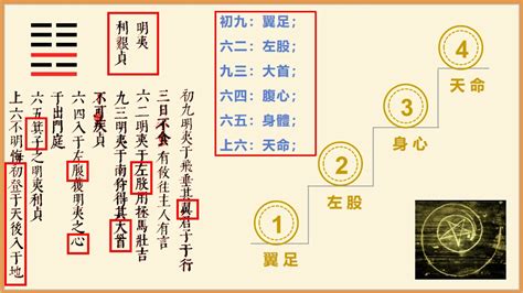 明夷卦|【周易全解】36 明夷卦 